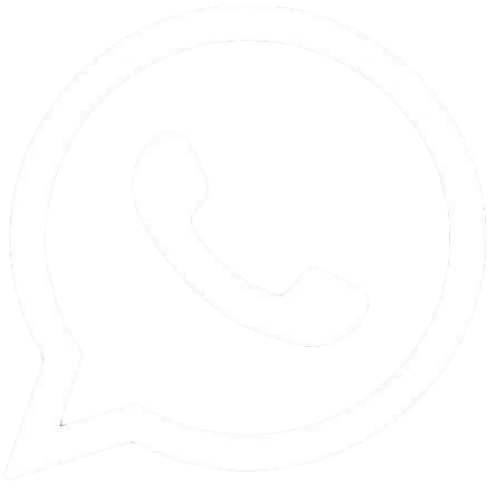 WhatsApp icon